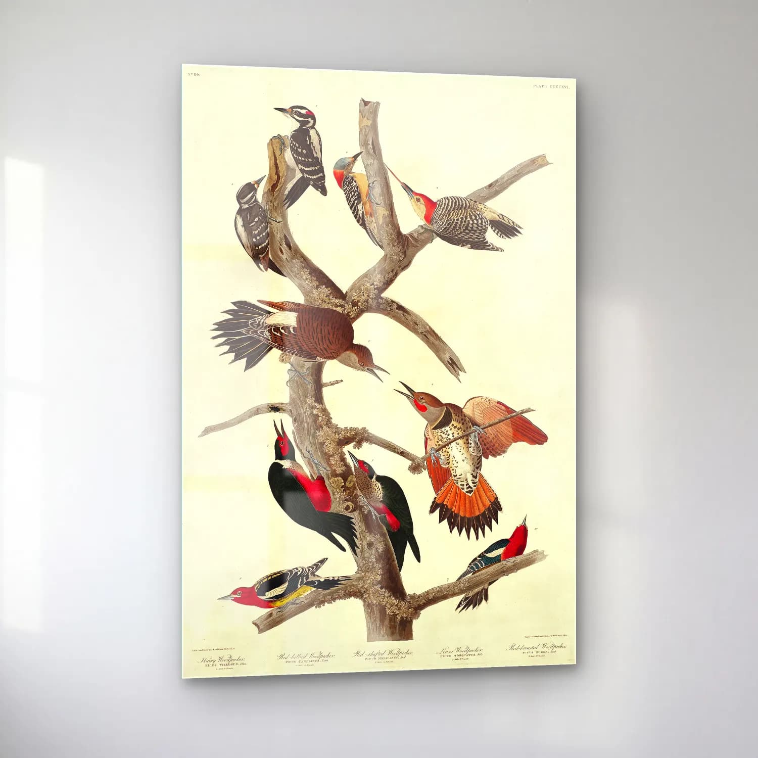 Vintage Daldaki Kuş No. 14 cam tablo — sol açıdan görünüm