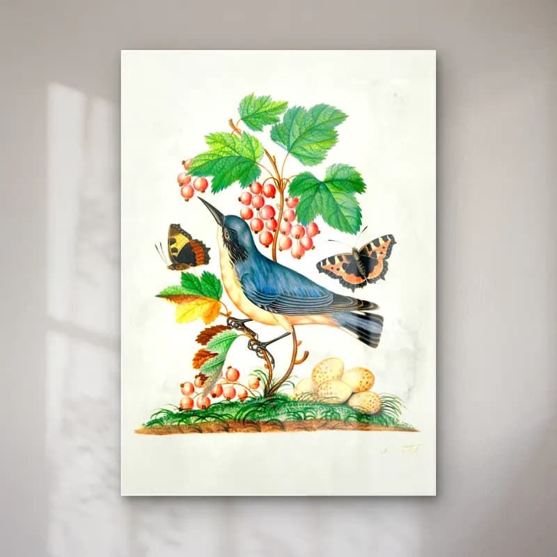 Botanik İllüstrasyon Daldaki Kuş No. 19 cam tablo — Botanik İllüstrasyon Daldaki Kuş No. 19 — botanik i̇llüstrasyon daldaki kuş
