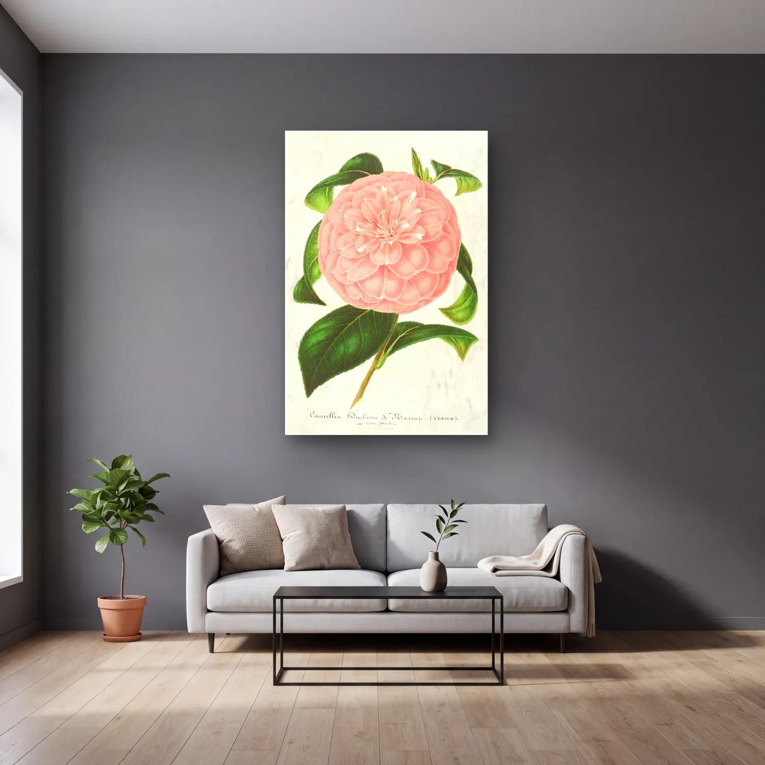 Botanik İllüstrasyon Pembe Şakayıklar No. 12 cam tablo — gri duvarlı salonda