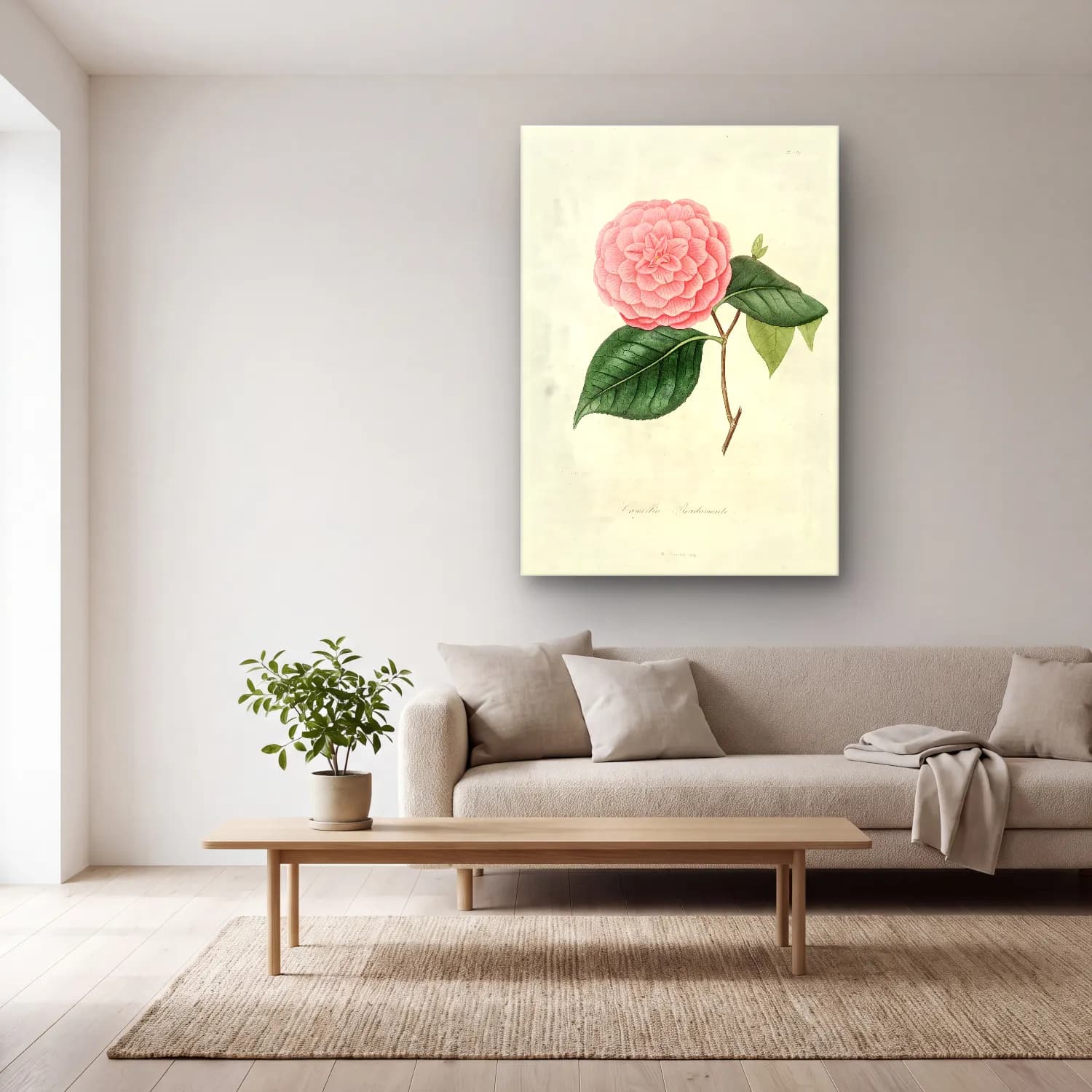 Botanik İllüstrasyon Pembe Şakayıklar No. 13 cam tablo — açık renk salonda