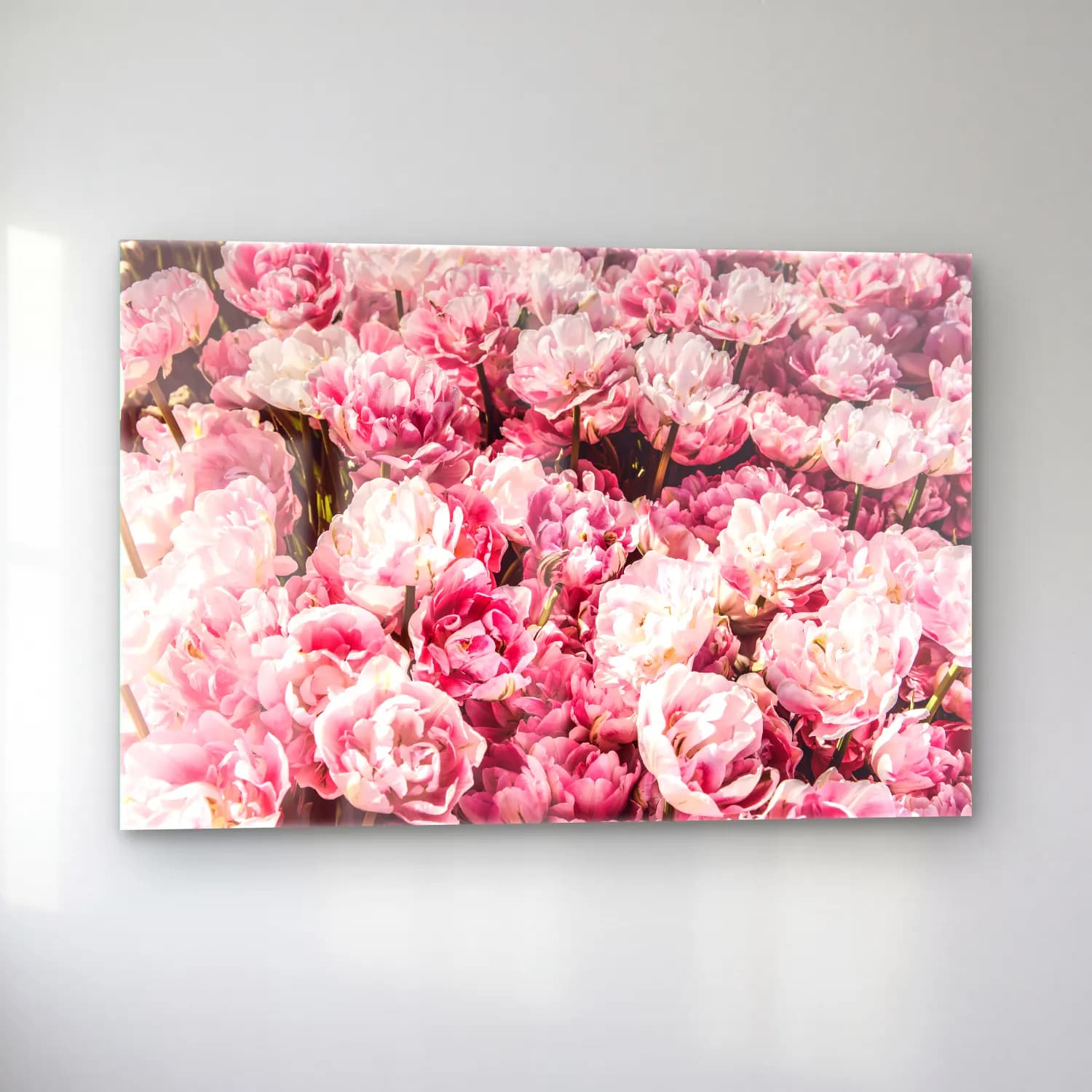 Pastel Pembe Şakayıklar No. 11 cam tablo — sol açıdan görünüm