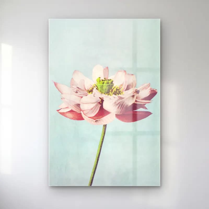 Pastel Lotus Çiçekleri No. 7 cam tablo — Pastel Lotus Çiçekleri No. 7 — pastel lotus çiçekleri
