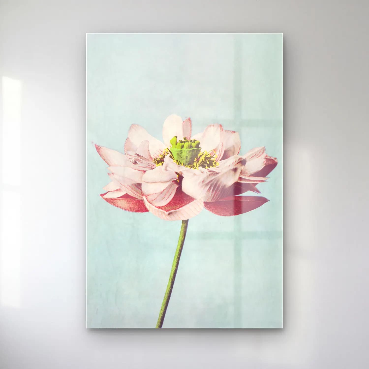 Pastel Lotus Çiçekleri No. 7 cam tablo — Pastel Lotus Çiçekleri No. 7 — pastel lotus çiçekleri