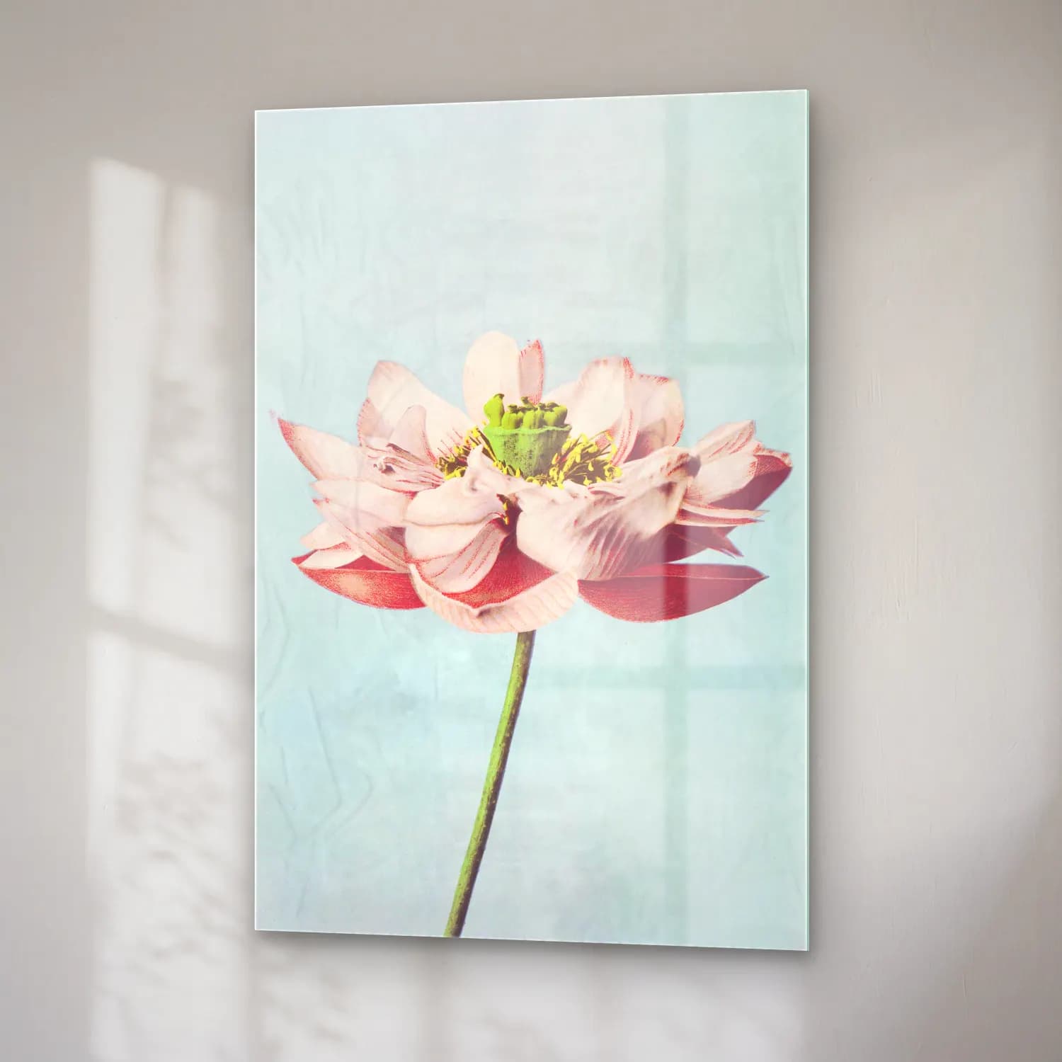Pastel Lotus Çiçekleri No. 7 cam tablo — sağ açıdan görünüm