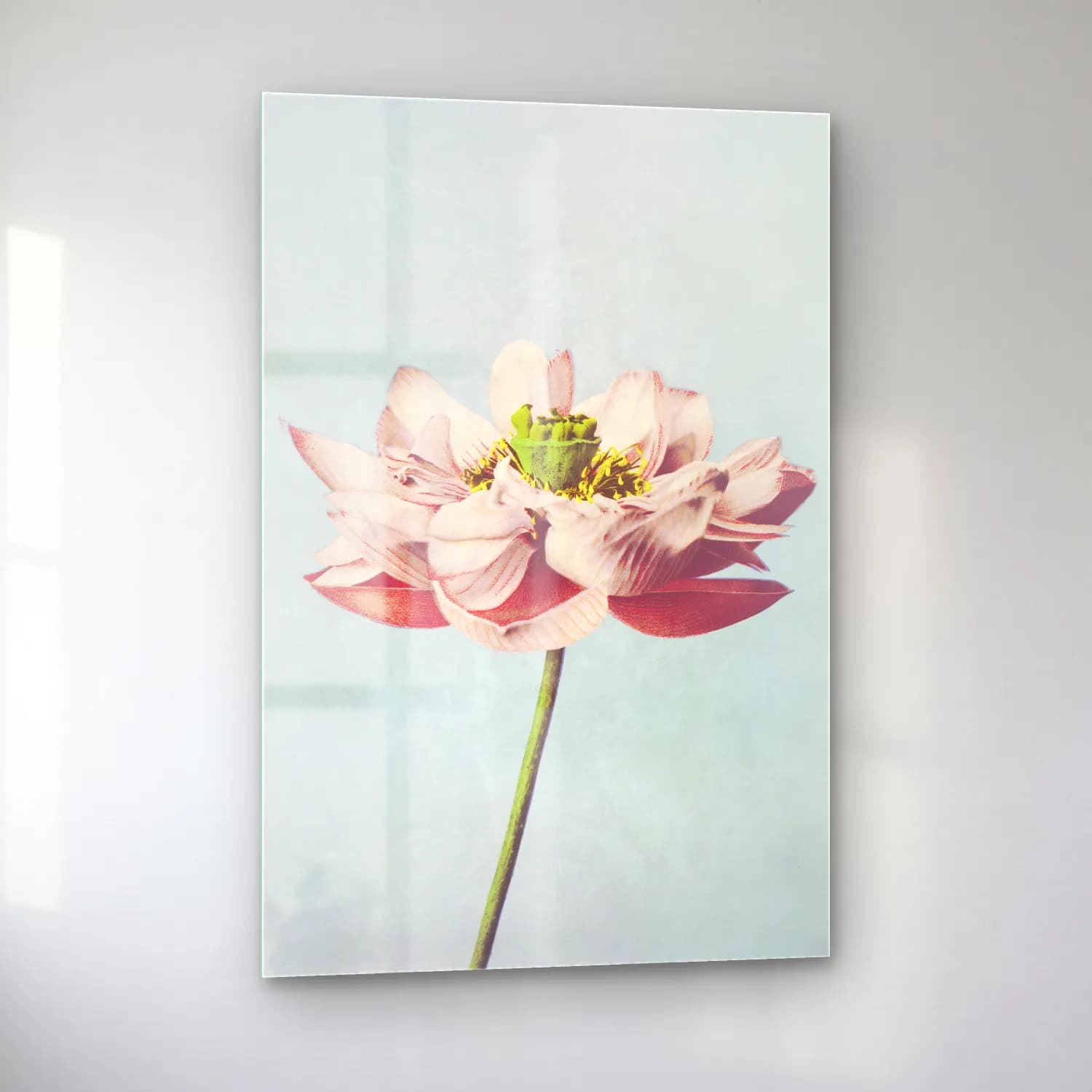 Pastel Lotus Çiçekleri No. 7 cam tablo — sol açıdan görünüm