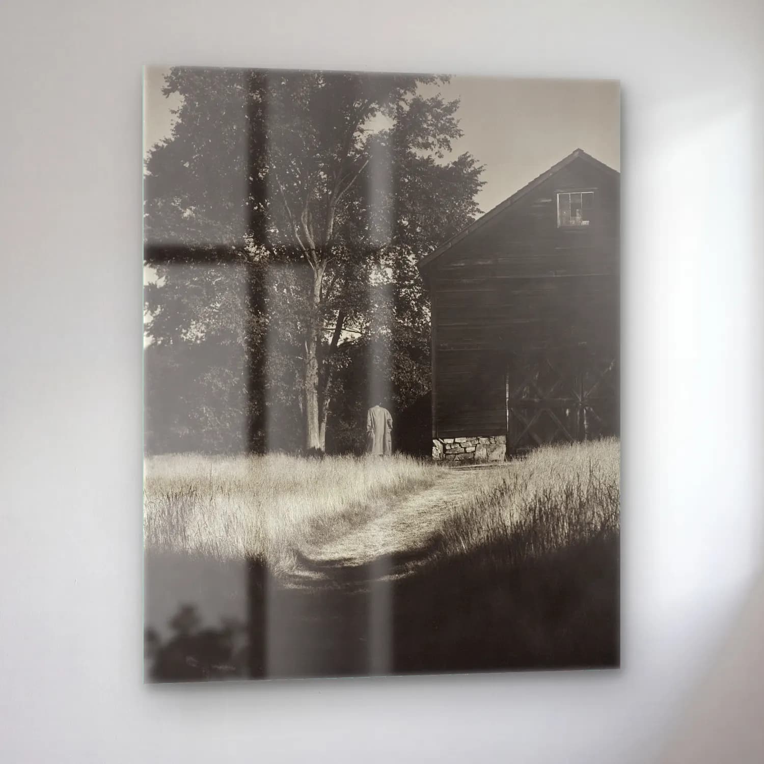 Siyah Beyaz Kır Evi No. 5 cam tablo — sol açıdan görünüm