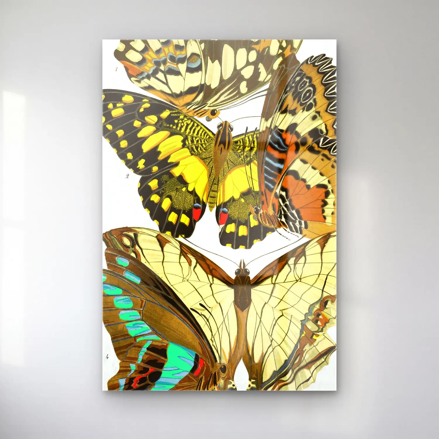 Maksimalist Kelebek – Sarı Tonlar cam tablo — Maksimalist Kelebek – Sarı Tonlar — maksimalist kelebek