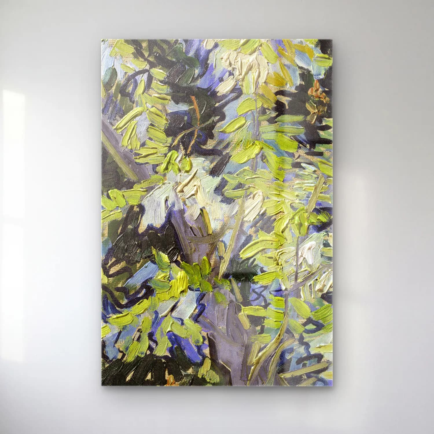 Vincent van Gogh – Blossoming Acacia Branches cam tablo — Vincent van Gogh – Blossoming Acacia Branches — empresyonist okaliptüs dalları