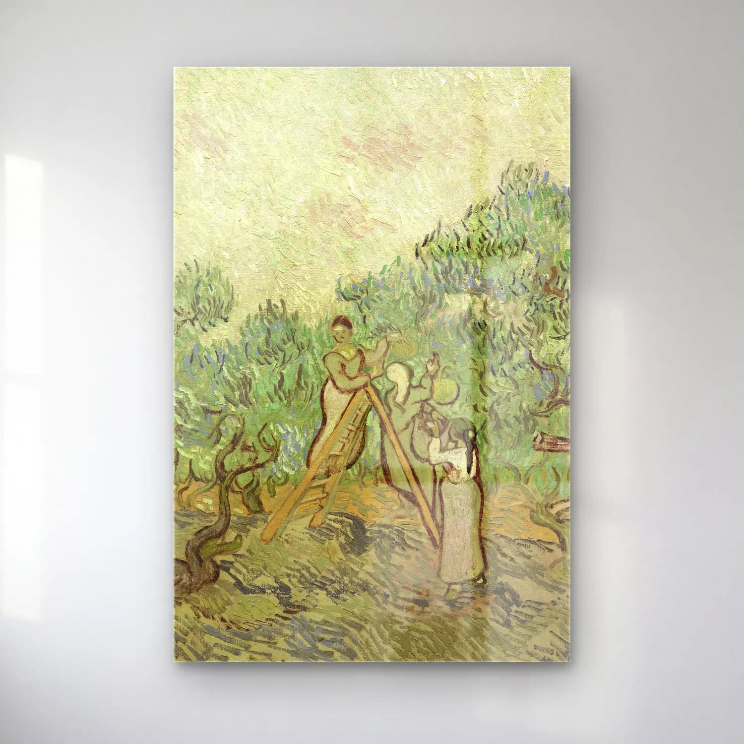 Vincent van Gogh – The Olive Orchard cam tablo — Vincent van Gogh – The Olive Orchard — empresyonist zeytin ve zeytinyağı