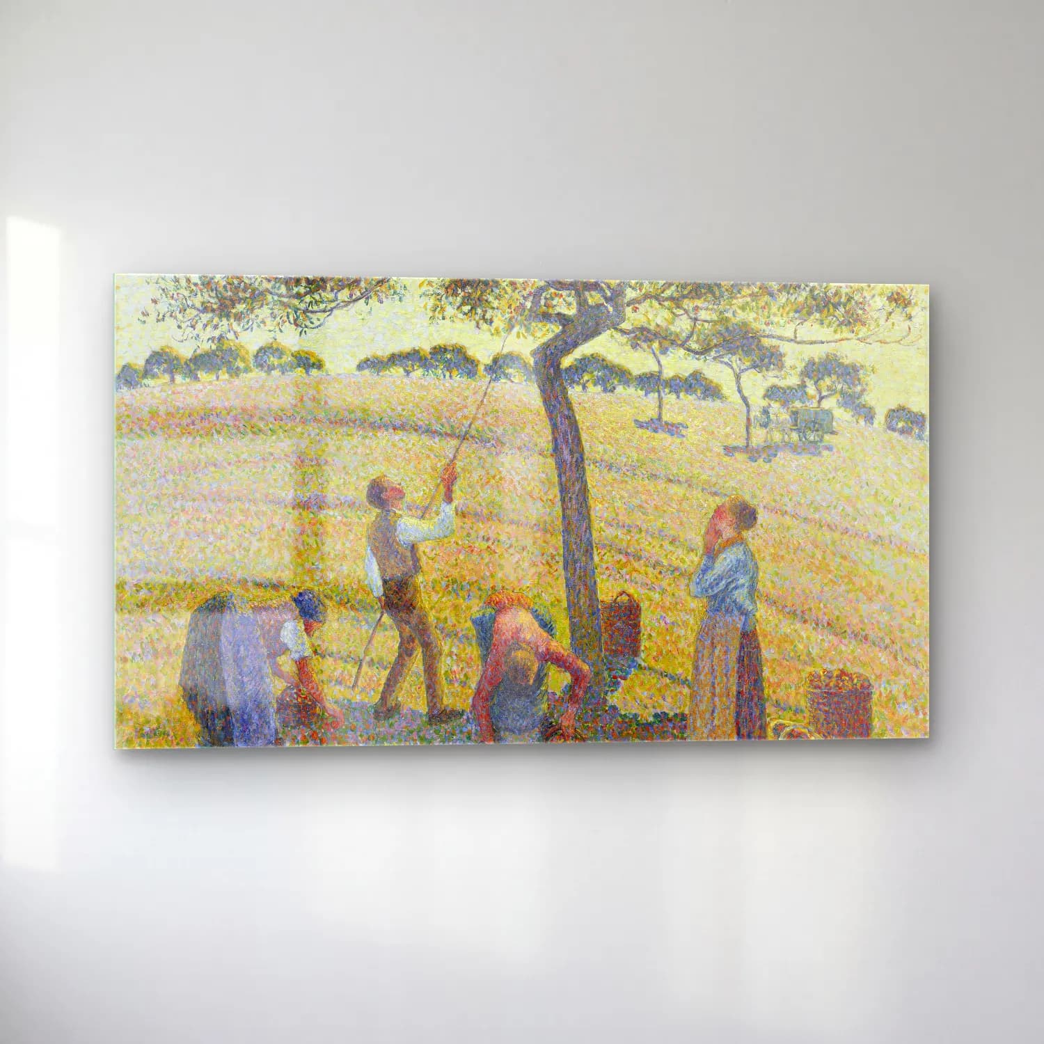 Camille Pissarro – Apple Harvest cam tablo — sol açıdan görünüm