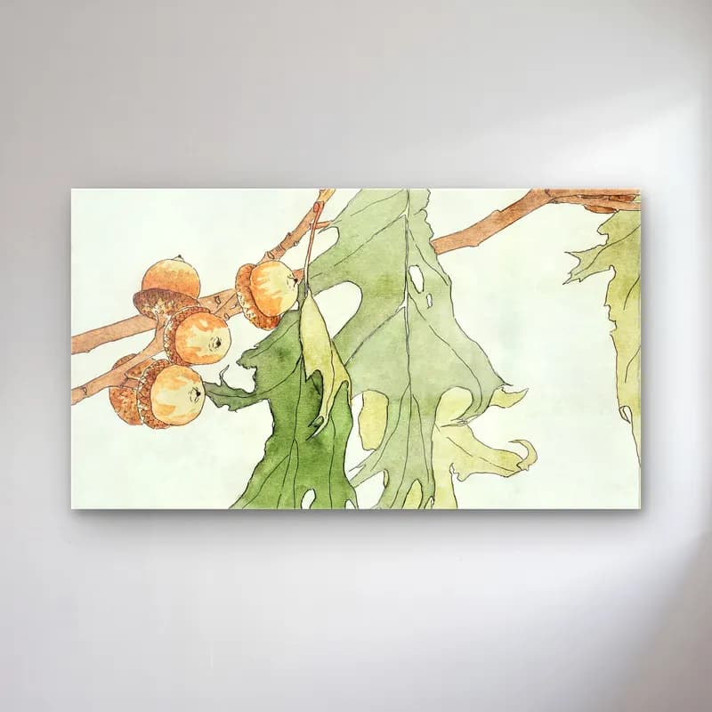 Hannah Borger Overbeck – OakAcorns cam tablo — Hannah Borger Overbeck – OakAcorns — botanik i̇llüstrasyon i̇ncirler