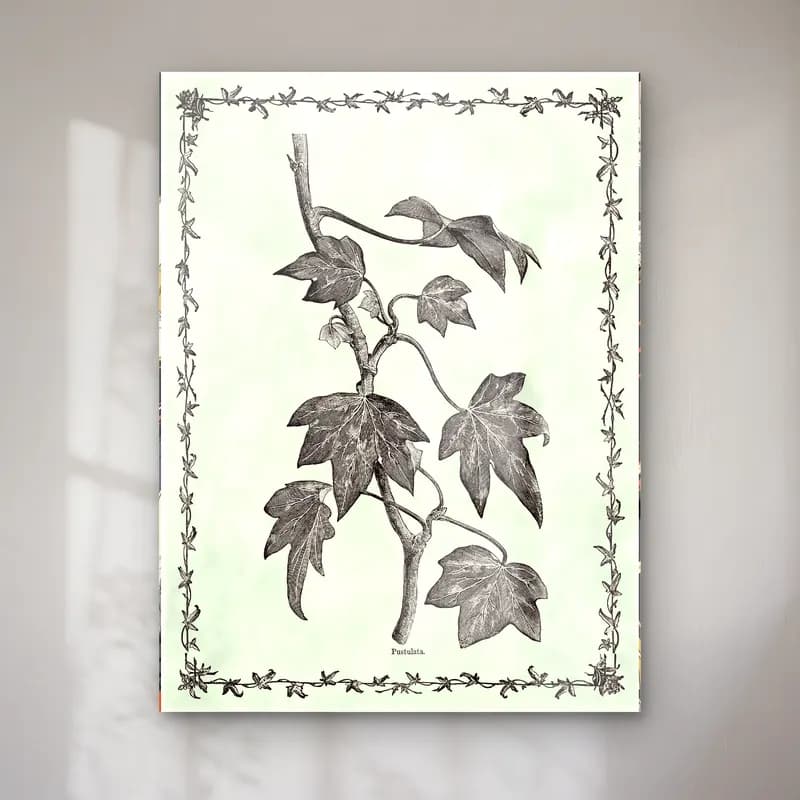Botanik İllüstrasyon Botanik Yapraklar No. 26 cam tablo — Botanik İllüstrasyon Botanik Yapraklar No. 26 — botanik i̇llüstrasyon botanik yapraklar