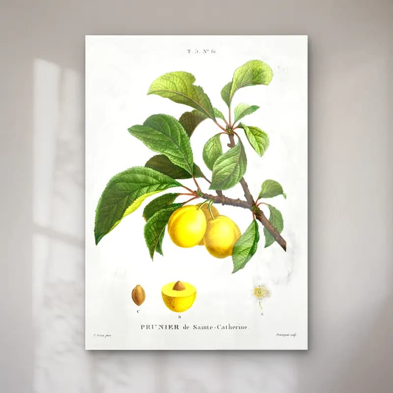 Botanik İllüstrasyon Limon Dalı No. 16 cam tablo — Botanik İllüstrasyon Limon Dalı No. 16 — botanik i̇llüstrasyon limon dalı